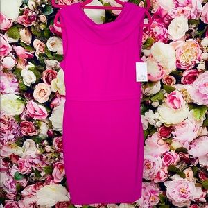 Belle by Badgley Mischka Fuchsia Sheath Dress Size 14